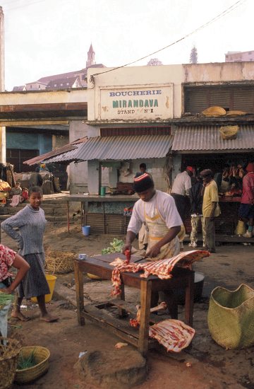 Na cestě - Série 1 - Na cestě po Madagaskaru - Photos