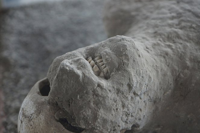 Pompeii: The Mystery of the People Frozen in Time - De la película