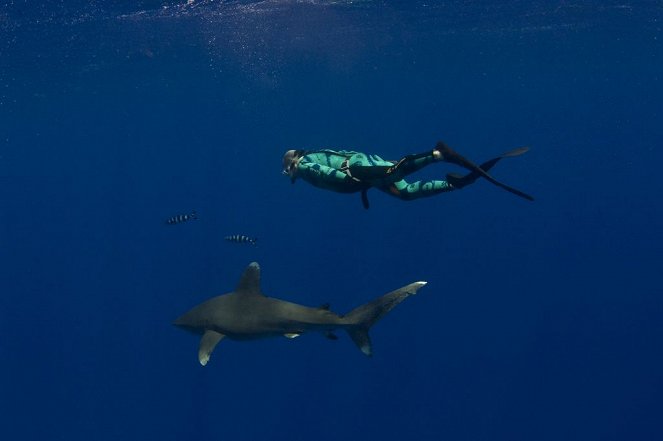 How 'Jaws' Changed the World - Kuvat elokuvasta