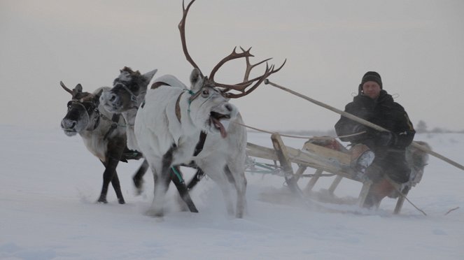 Die Hüter der Tundra - Filmfotók