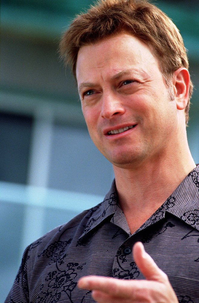 A Ilha Dos Golpes - Do filme - Gary Sinise