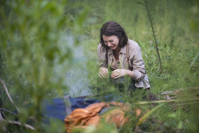 The Walking Dead - O que foi e o que está sendo - Do filme - Lauren Cohan