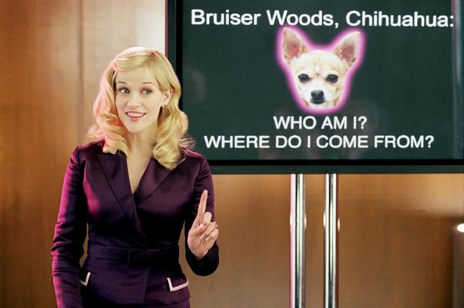 Legally Blonde 2: Red, White & Blonde - Photos - Reese Witherspoon