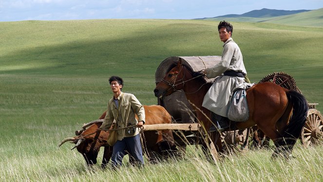 Wolf Totem - Photos - Shawn Dou, William Feng