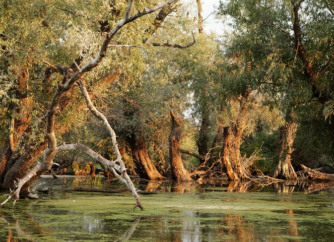 A Duna - Európa ütőere - Filmfotók