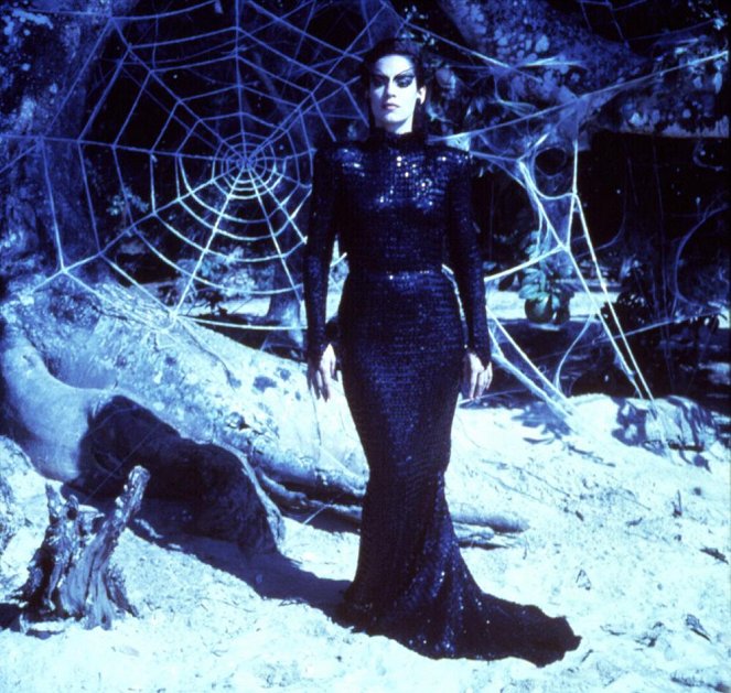 Bozk pavúčej ženy - Z filmu - Sônia Braga