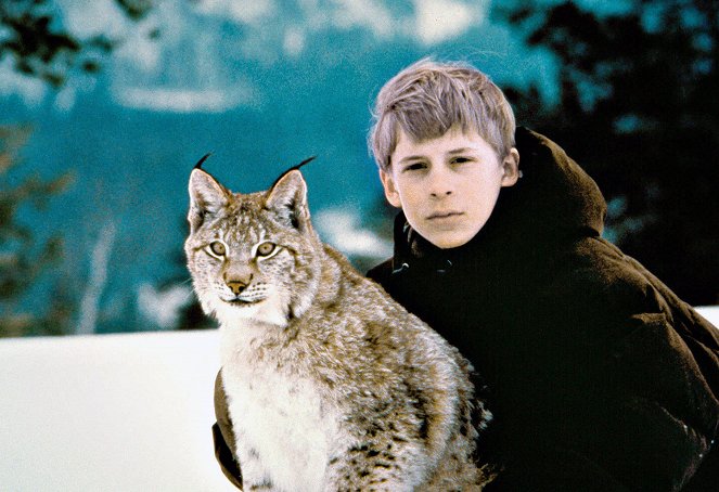 Tommy and the Wildcat - Promo - Konsta Hietanen