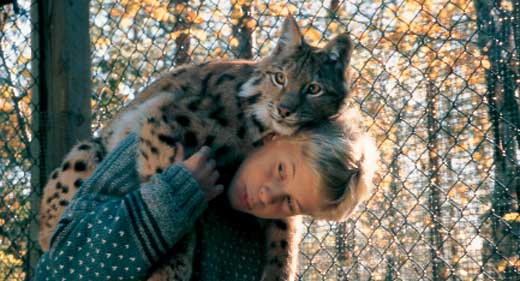 Tommy and the Wildcat - Photos - Konsta Hietanen