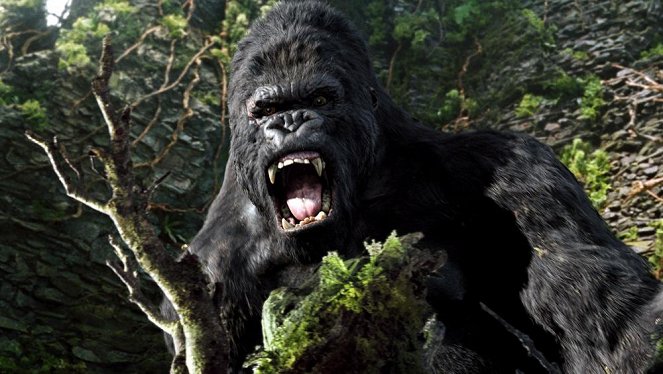 King Kong - Do filme