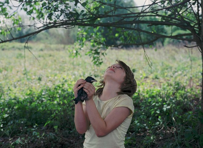 Kauwboy - Kleiner Vogel, großes Glück - Filmfotos - Rick Lens