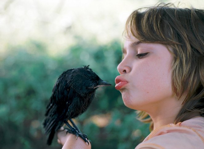Kauwboy - Kleiner Vogel, großes Glück - Filmfotos - Rick Lens