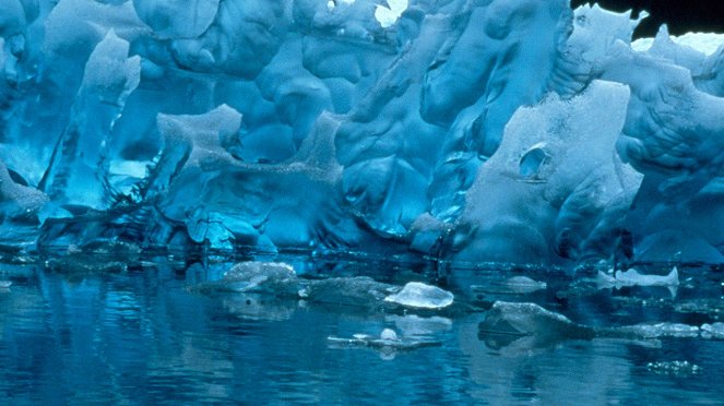 Glacier Bay: Alaska's Wild Coast - Z filmu