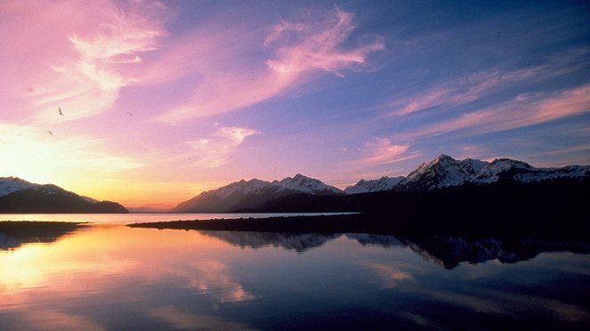 Glacier Bay: Alaska's Wild Coast - Filmfotók