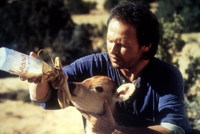 A Vida, o Amor... e as Vacas - Do filme - Billy Crystal