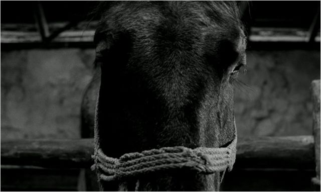 O Cavalo de Turim - Do filme