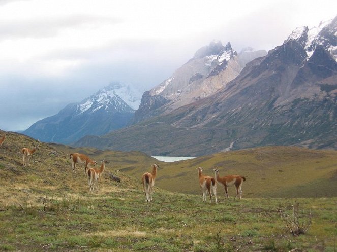 Na cestě - Na cestě po Patagonii - Kuvat elokuvasta