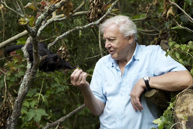 A természeti világ - Attenborough's Ark: Natural World Special - Filmfotók - David Attenborough