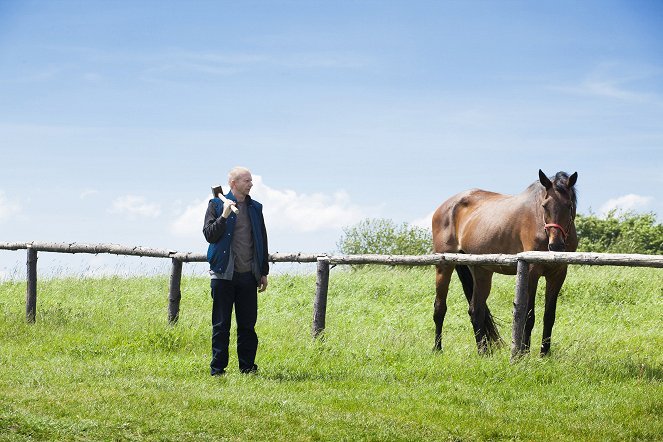 Znamení koně - Restart - Photos - Miroslav Vladyka