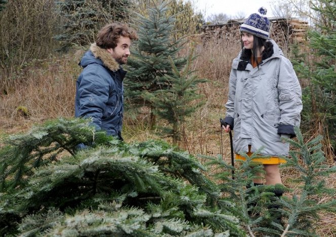 Weihnachten für Einsteiger - Van film - Oliver Wnuk, Anna Fischer