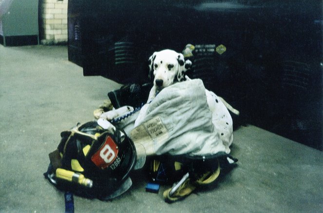 FDNY - příběhy hasičů z New York City - Z filmu