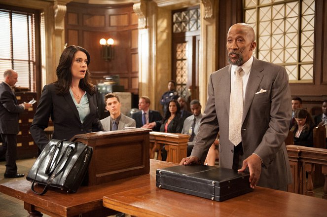 Law & Order: Special Victims Unit - Season 14 - Falsches Spiel - Filmfotos - Paget Brewster, Reg E. Cathey