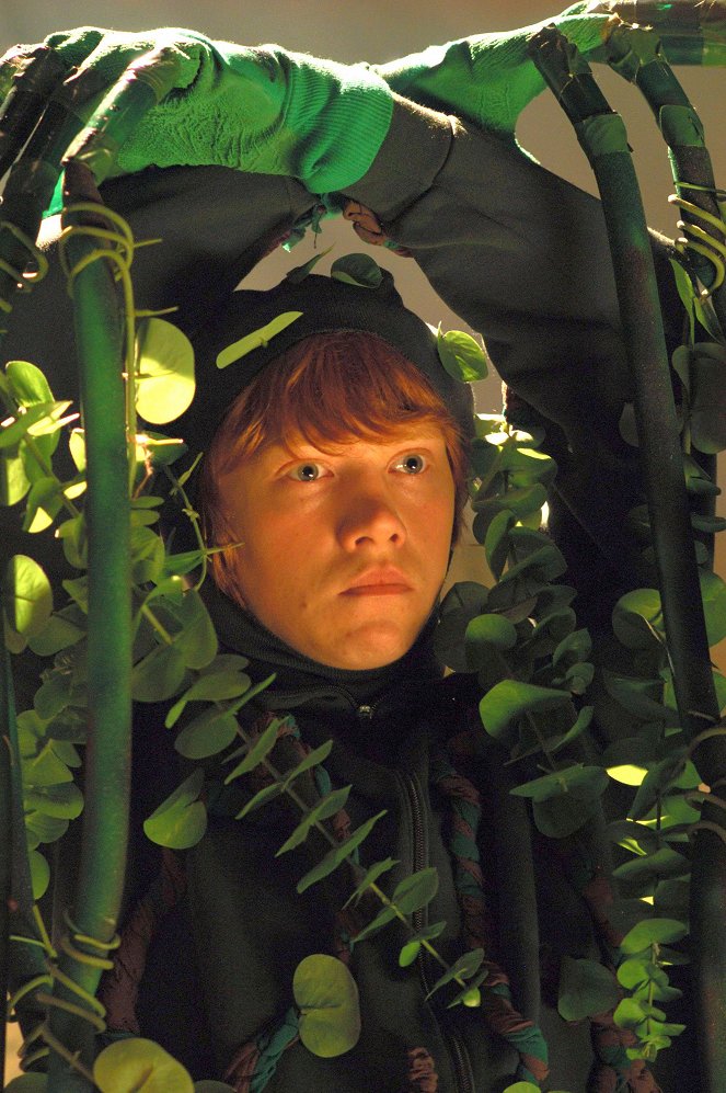 Sofőrlecke - Filmfotók - Rupert Grint