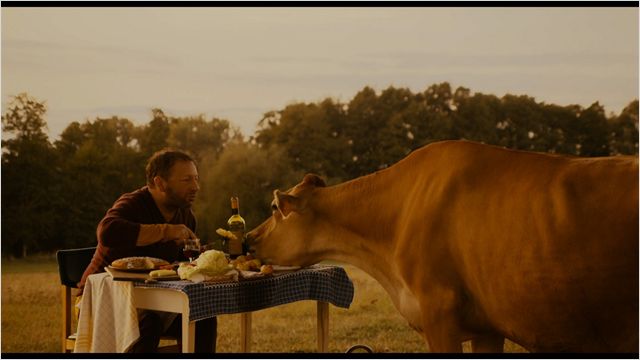 Swieta krowa - Van film - Zbigniew Zamachowski