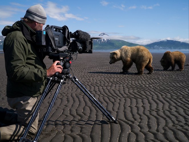 Great Bear Stakeout - Filmfotók
