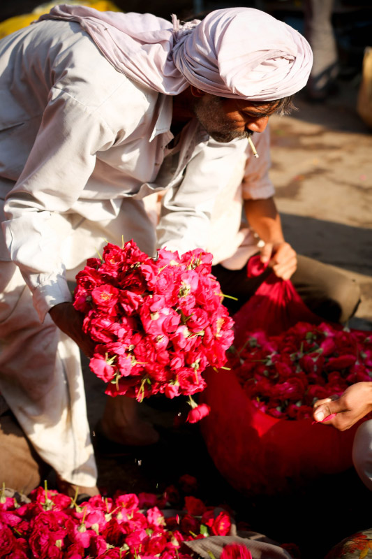 Inde : Rajasthan en 4 repères - Filmfotók