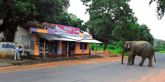 Na cestě - Na cestě po středozápadě Srí Lanky - Z filmu