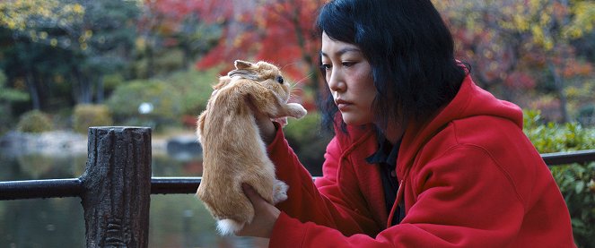 Kumiko, the Treasure Hunter - Van film - Rinko Kikuchi