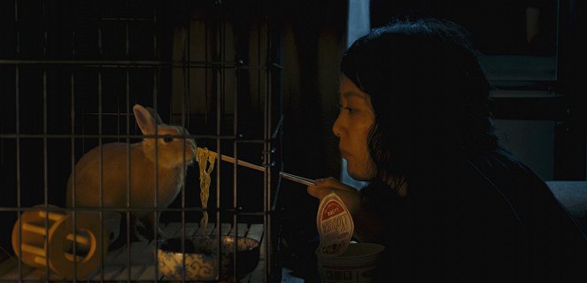 Kumiko, lovkyně pokladů - Z filmu - Rinko Kikuchi