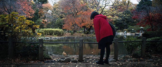 Kumiko, the Treasure Hunter - Photos