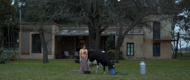 Un cuento chino - De la película