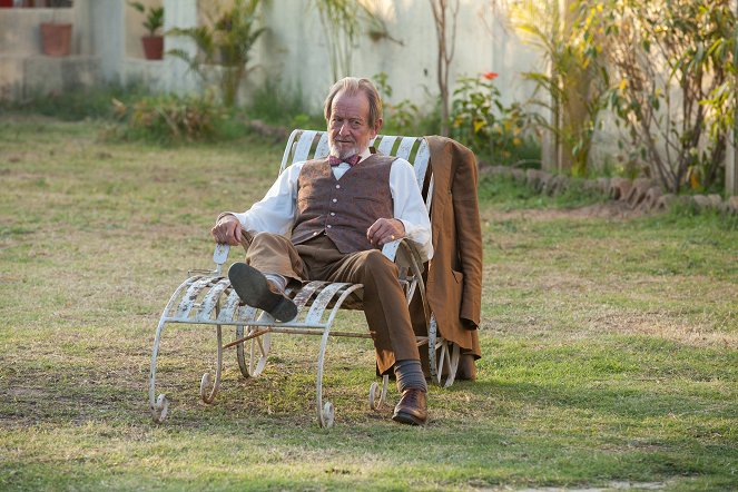 The Second Best Exotic Marigold Hotel - Photos - Ronald Pickup