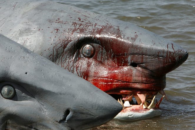 2-Headed Shark Attack - Photos