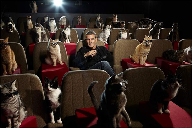 De gelaarsde kat - Evenementen - Antonio Banderas