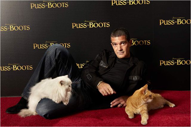 Puss in Boots - Events - Antonio Banderas