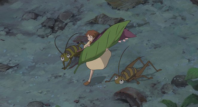 Arrietty le petit monde des chapardeurs - Film