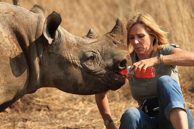 Sirotčinec pro nosorožce - Z filmu