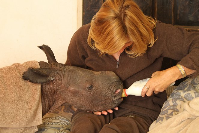 The Rhino Orphanage - De la película