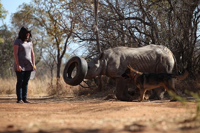 The Rhino Orphanage - Kuvat elokuvasta
