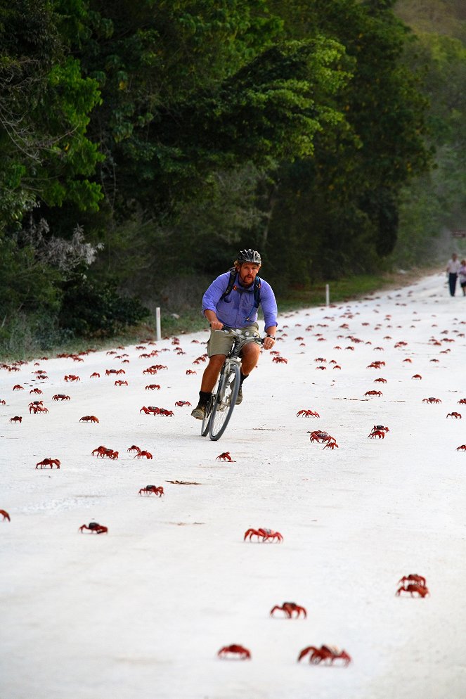 Les Crabes attaquent - Z filmu