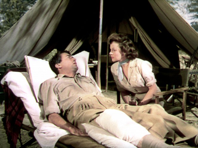 Schnee am Kilimandscharo - Filmfotos - Gregory Peck, Susan Hayward