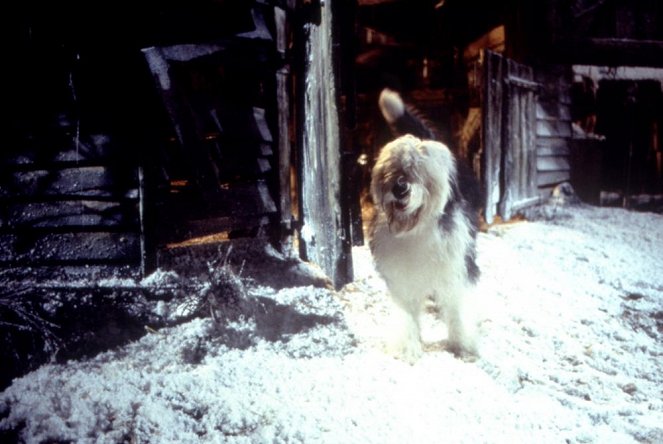 101 dalmatialaista - aitoa koiranelämää - Kuvat elokuvasta