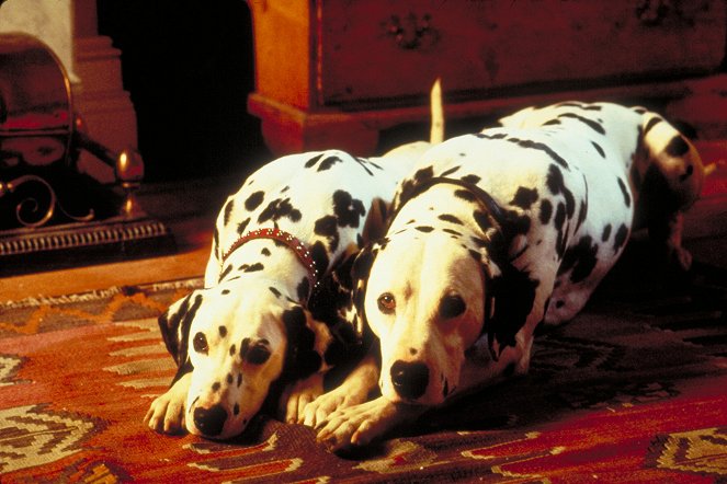101 dalmatialaista - aitoa koiranelämää - Kuvat elokuvasta