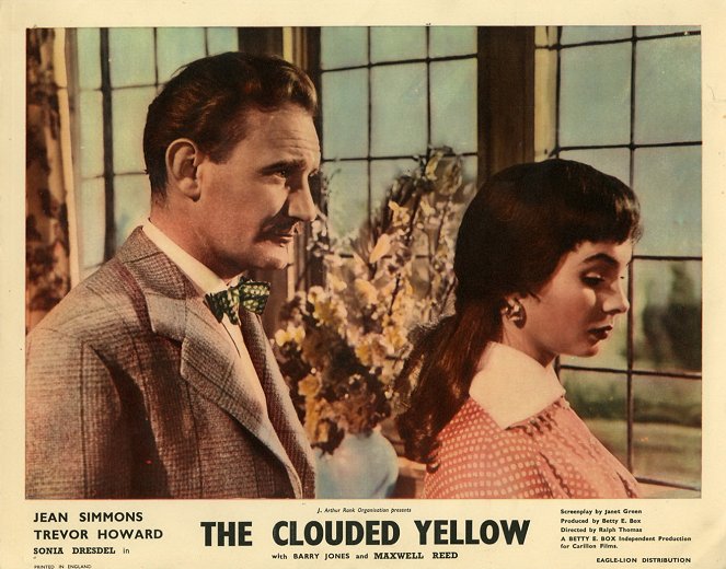 The Clouded Yellow - Vitrinfotók
