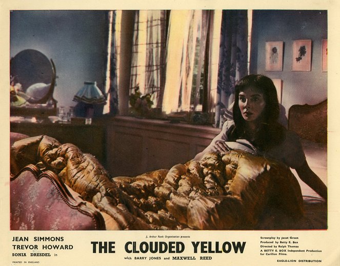 The Clouded Yellow - Vitrinfotók
