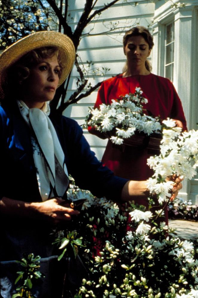 The Handmaid's Tale - Film - Faye Dunaway, Natasha Richardson