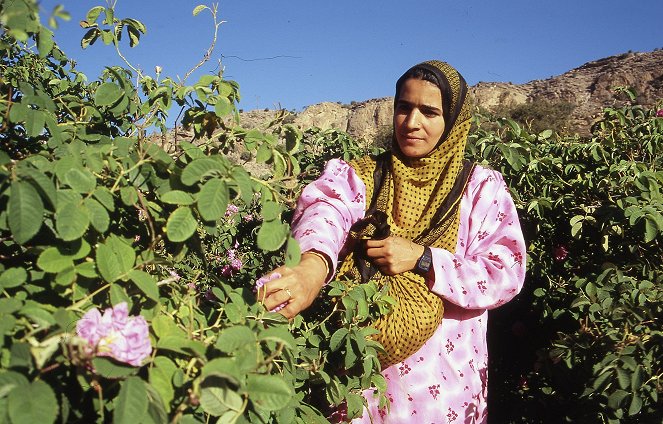 Oman, les roses du désert - Filmfotos